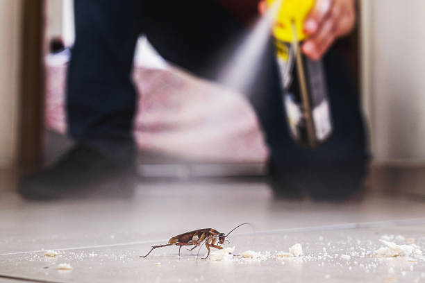 Reliable Leisure World, MD Pest Control Solutions