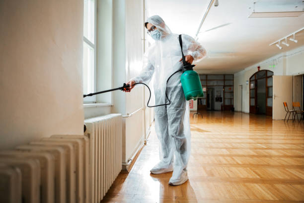 Best Flea Control Services  in Leisure World, MD