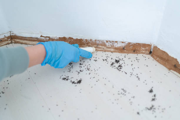 Best Pest Inspection Near Me  in Leisure World, MD