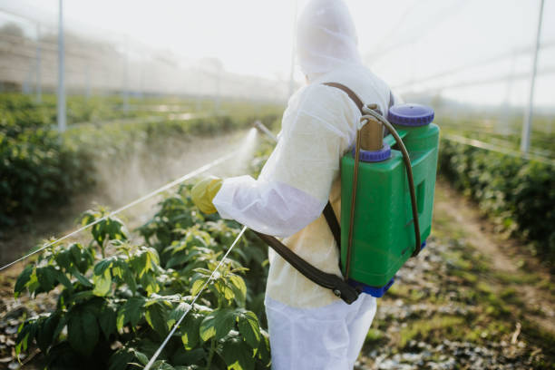 Best Rat Extermination Near Me  in Leisure World, MD